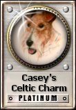 Caseys Celtic Charm Platinum