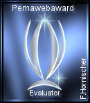 Evaluator Future Award