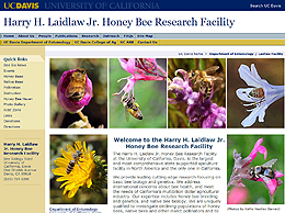screenshot Honey Bee Research Facility